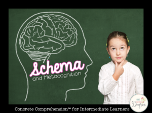 Concrete Comprehension: Schema and Metacognition for Intermediate Learners