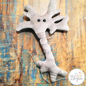 Fire (Throw) a Plush Neuron During Schema Lessons 