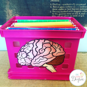 This is your brain as a filing cabinet! 