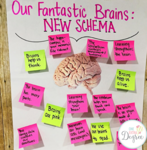 Color-Coding to Show Old Schema and New Schema After Reading a Text